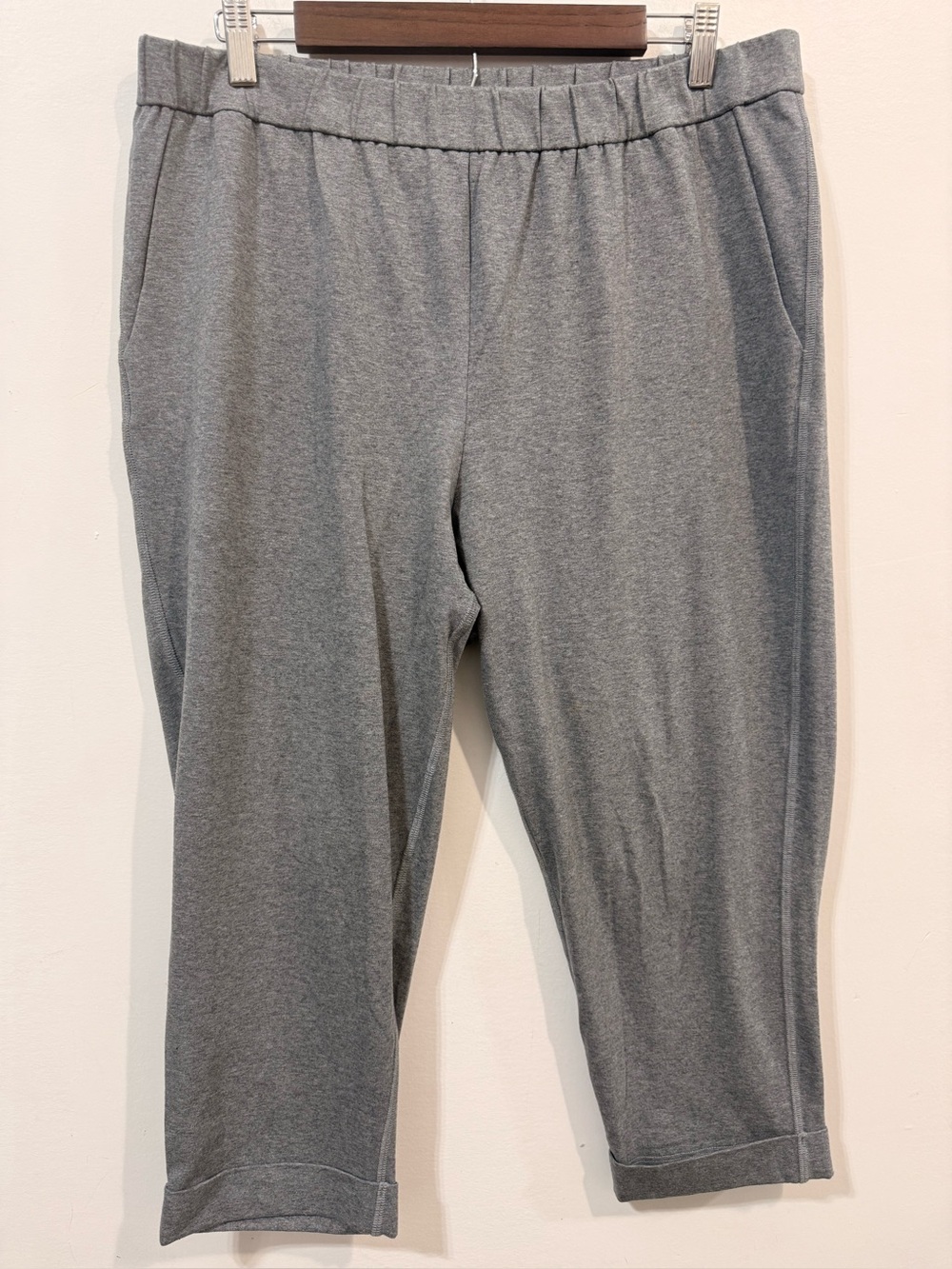 Eileen Fisher Pull On Oragnic Cotton Elastic Waist Stretch Ankle Pants Size M